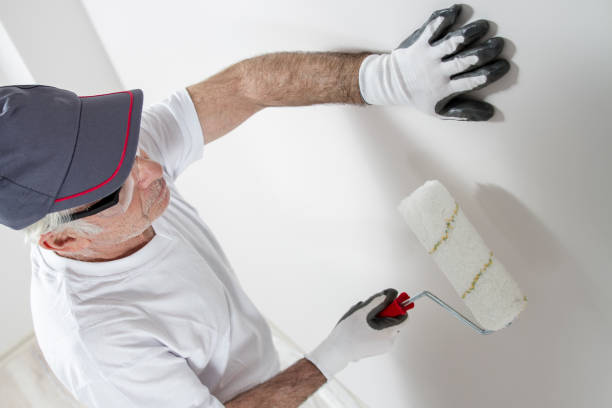 Best Commercial Mold Inspection  in Newton Falls, OH