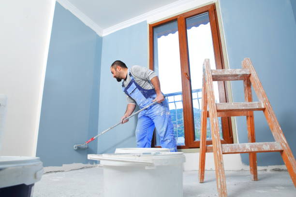 Best Post-Construction Mold Inspection  in Newton Falls, OH