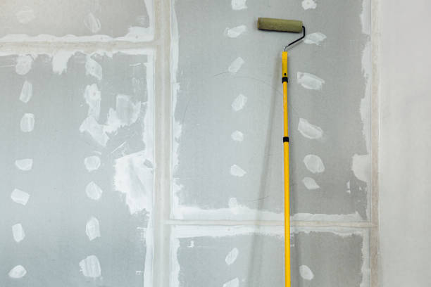 Best Black Mold Removal  in Newton Falls, OH