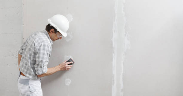 Best Real Estate Mold Inspection  in Newton Falls, OH