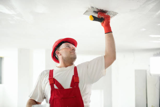 Best Mold Prevention Services  in Newton Falls, OH