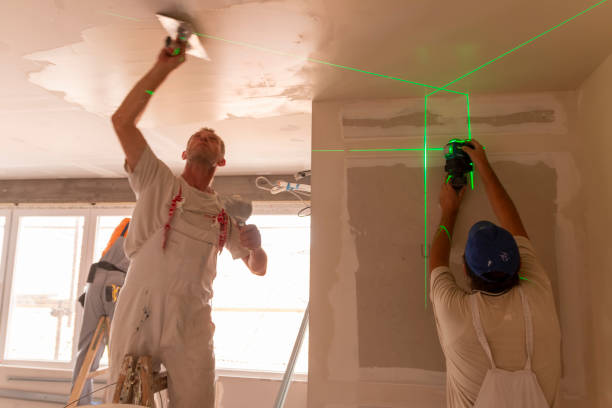 Best Basement Mold Removal  in Newton Falls, OH