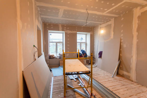 Newton Falls, OH Mold Removal Company