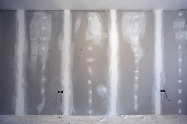 Best Mold Documentation for Insurance Claims  in Newton Falls, OH